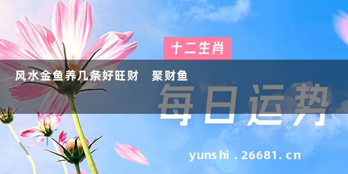 风水金鱼养几条好旺财 聚财鱼